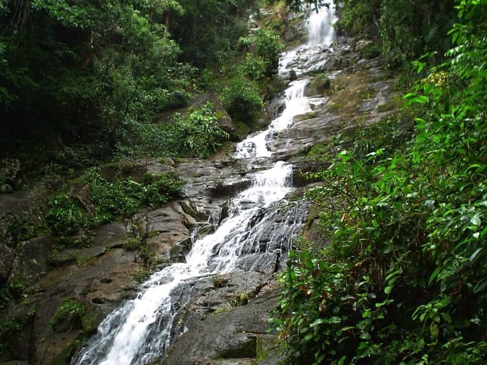 Belize Mayflower Jungle & Waterfall Hike | Hamanasi Adventure Resort