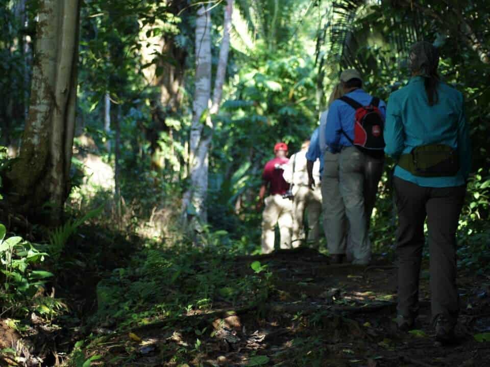 Belize Jaguar Preserve Tours 