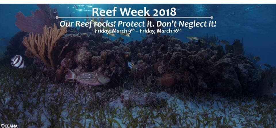 Reef Week 2 2018