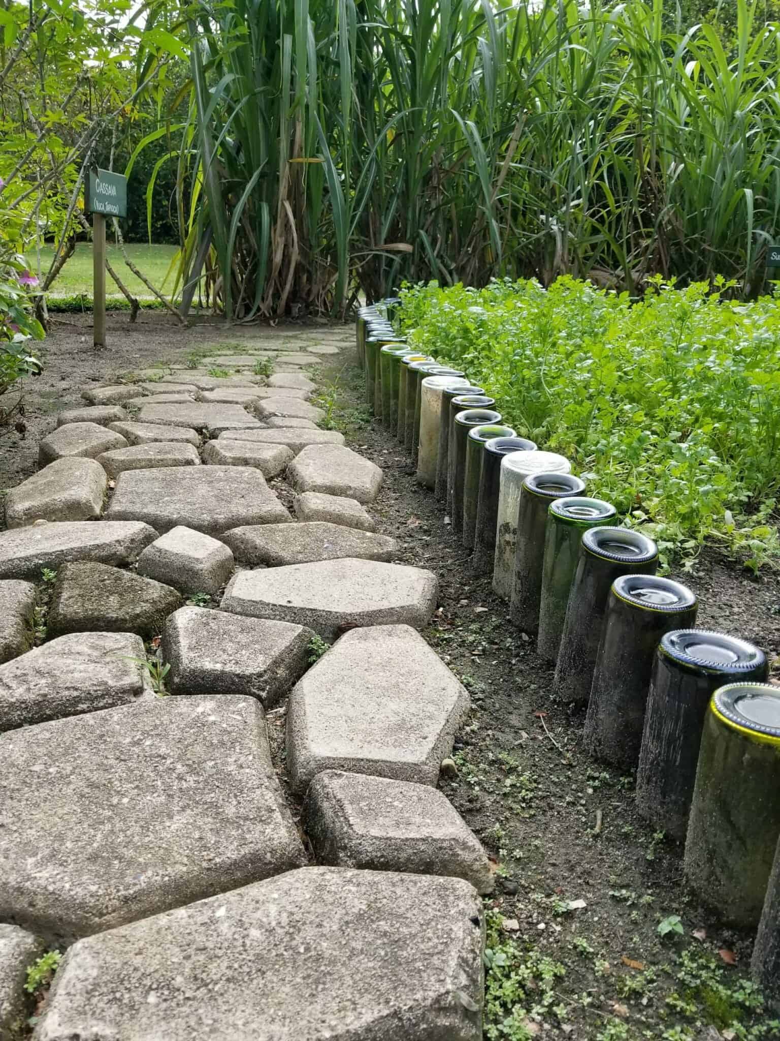 Bottles lining garden path